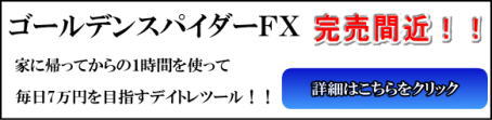 ゴールデンスパイダーFX:リベルタス合同会社、高橋優一