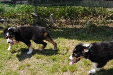 DSC_0502_convert_20120526165342.jpg