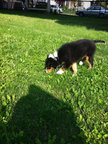 IMG_0925_convert_20120520211525.jpg