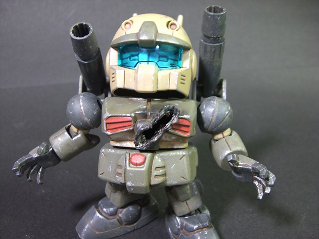 CIMG1122.jpg