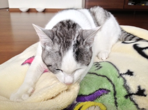 13_20130419101920.jpg