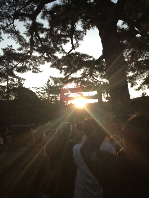写真 1