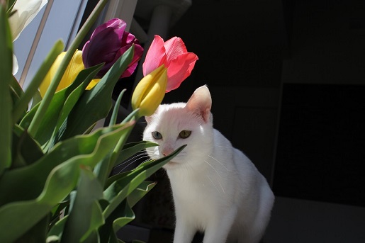 2_20130425220956.jpg