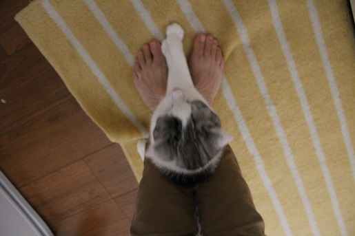 2_20130522214717.jpg
