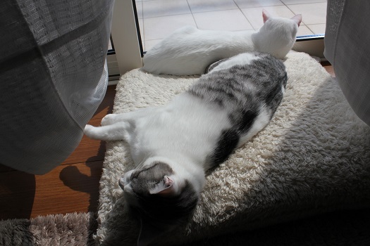 3_20130325142120.jpg
