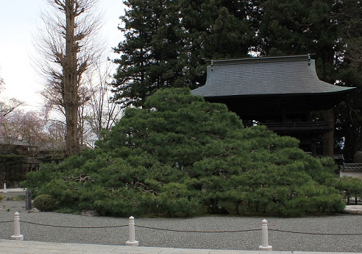 3_20130421084153.jpg
