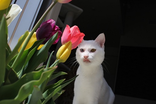 3_20130425220957.jpg