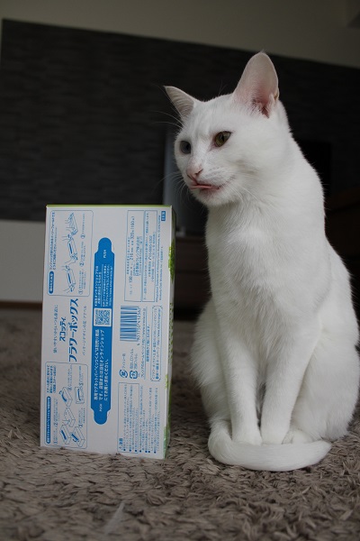 猫ずら 大きさ比較