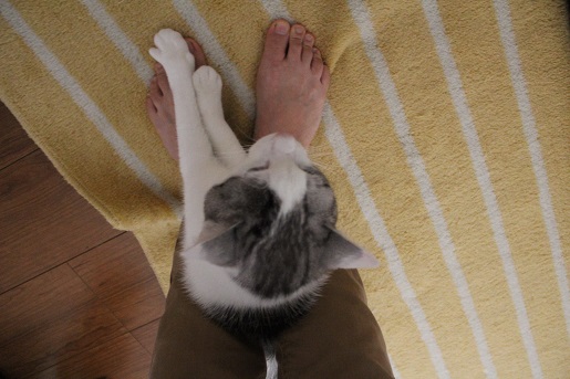 3_20130522214719.jpg