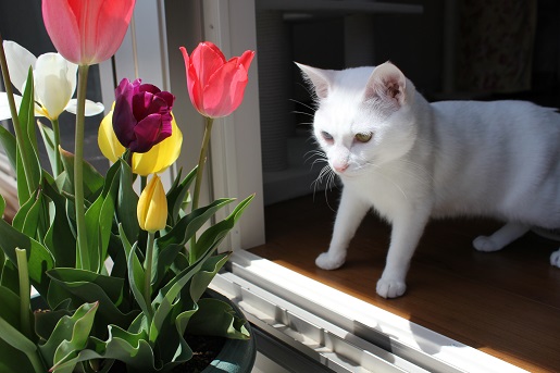 5_20130425221000.jpg