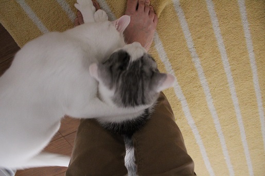 5_20130522214721.jpg