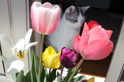 6_20130425221008.jpg