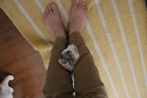 6_20130522214723.jpg