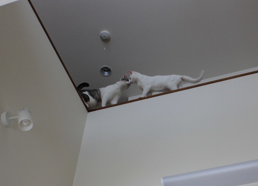 7_20130419125044.jpg