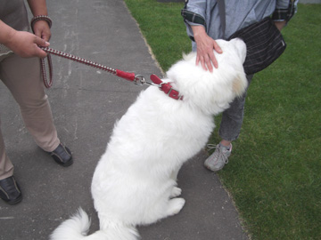 20120715-3.jpg