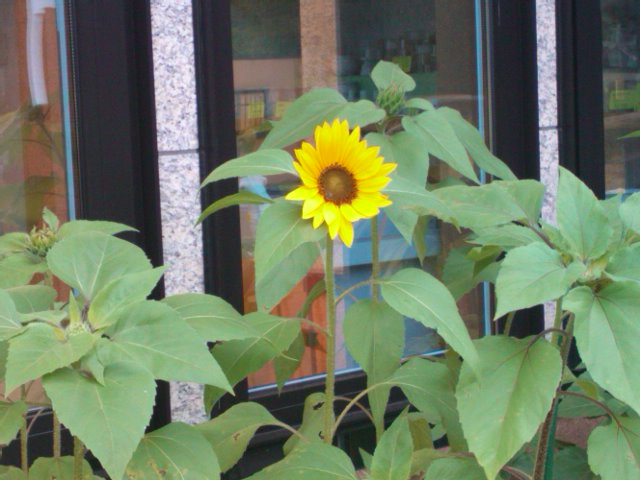 20120801.jpg
