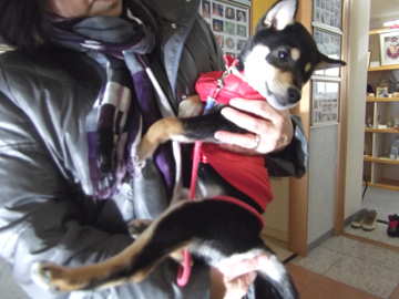 20121201-3.jpg