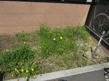 DSCF1228.jpg