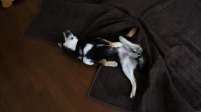 011syuusei_convert_20121205192328.jpg