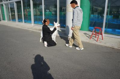 019ayuusi_convert_20121101190347.jpg