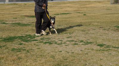 023_convert_20121109185248.jpg