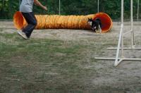 025_convert_20120820104002.jpg
