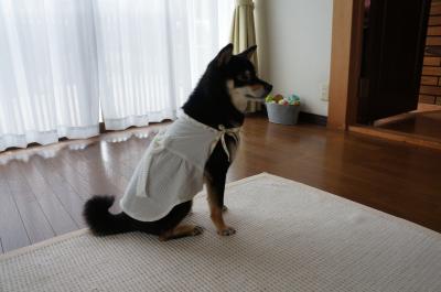 027_convert_20120618142034.jpg