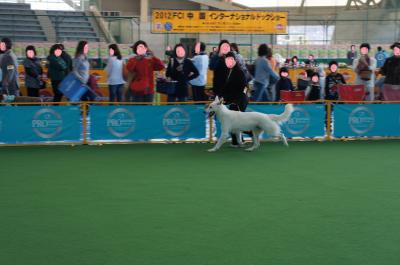 035syuusei_convert_20121101191510.jpg
