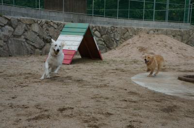 043_convert_20120820105812.jpg