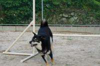 060_convert_20120820110937.jpg