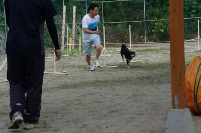 075_convert_20120729213219.jpg