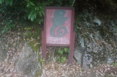 080_convert_20120730105027.jpg