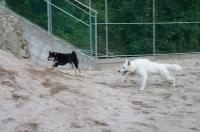 080_convert_20120820113335.jpg