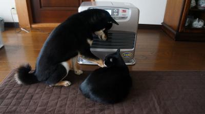 110_convert_20121203210117.jpg