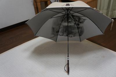 138_convert_20120625214340.jpg