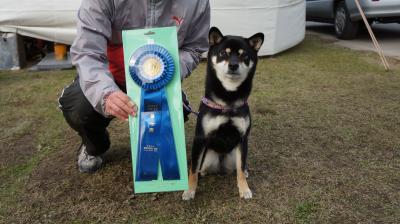 154_convert_20121210095154.jpg