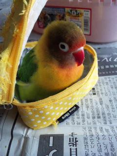 無言の訴え
