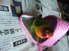 おにぎり②