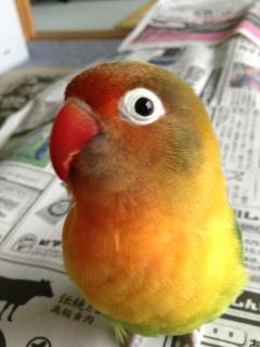 あたり?