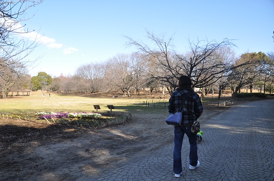 DSC_0420_20130107085459.jpg