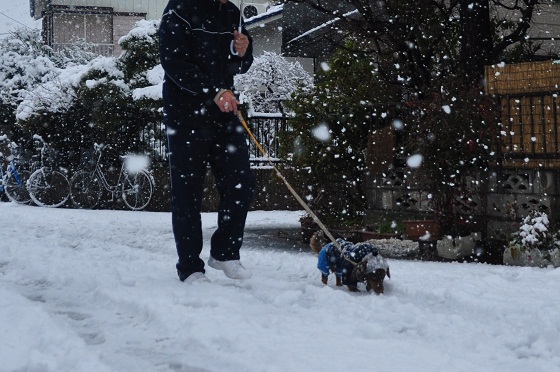 DSC_0641_20130114210016.jpg