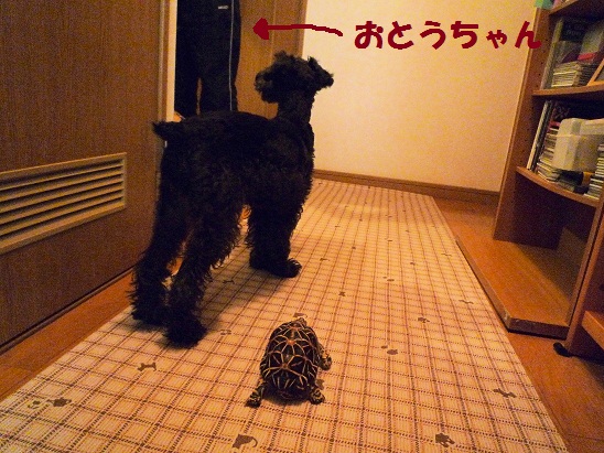 いっしょ