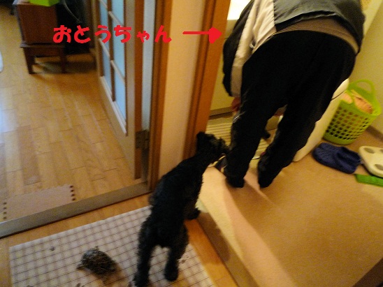 いっしょ2