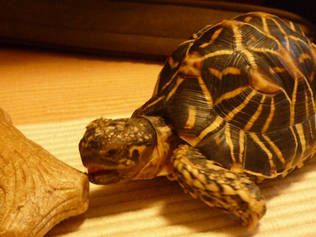 bou2_20130503234838.jpg
