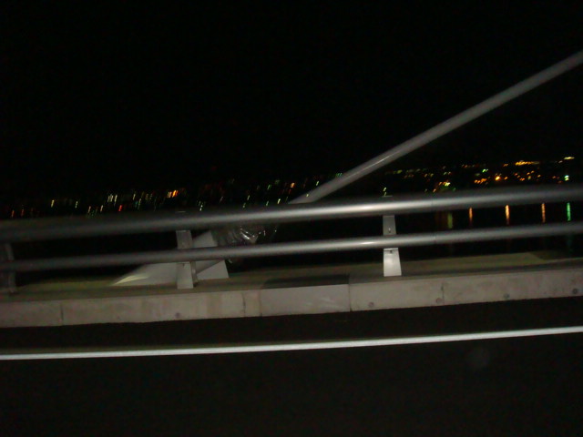 DSC08469.jpg