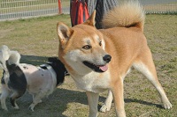 DSC_2704.jpg