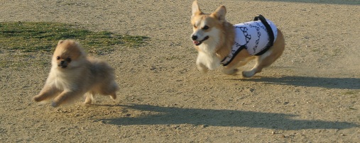 DSC_2739.jpg