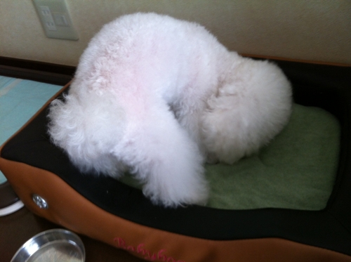 てん3