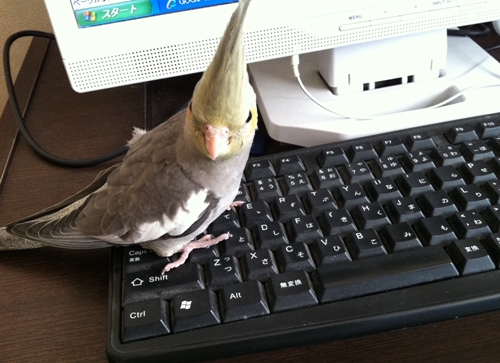 うんこするなよ
