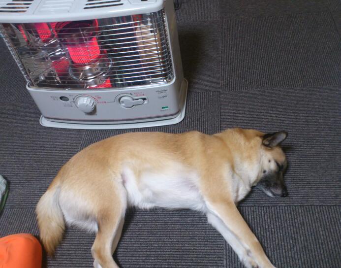 20130225-1.jpg